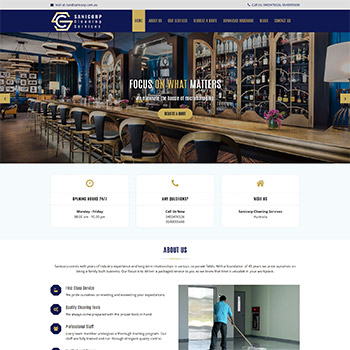kingscarpetcleaning.ca web page screenshot