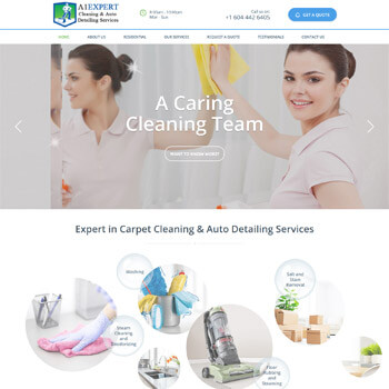 a1expertcleaningservices.ca web page screenshot